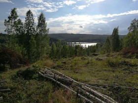 1100m², Kalhunkuja, Jyväskylä, Tontit, Jyväskylä, Tori.fi 1100m², Kalhunkuja, Jyväskylä, Tontit, Jyväskylä, Tori.fi