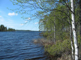 3390m², Iivantiira, Saarensalmentie Kortteli 6, to, Tontit, Kuhmo, Tori.fi 3390m², Iivantiira, Saarensalmentie Kortteli 6, to, Tontit, Kuhmo, Tori.fi