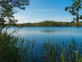 3928m², Huuhtjärvi Tontti 3, Mäntyharju, Tontit, Mäntyharju, Tori.fi