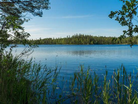 3928m², Huuhtjärvi Tontti 3, Mäntyharju, Tontit, Mäntyharju, Tori.fi 3928m², Huuhtjärvi Tontti 3, Mäntyharju, Tontit, Mäntyharju, Tori.fi