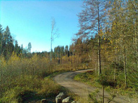 5000m², Rajontie, Kirkkonummi, Tontit, Kirkkonummi, Tori.fi