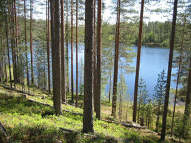 4520m², Merkkivirta Kortteli 3, tontti 1, Suomussa, Tontit, Suomussalmi, Tori.fi 4520m², Merkkivirta Kortteli 3, tontti 1, Suomussa, Tontit, Suomussalmi, Tori.fi