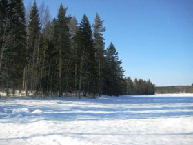 Kaavi, Autiosaari, Kaavi, Metsätilat ja maatilat, Kaavi, Tori.fi Kaavi, Autiosaari, Kaavi, Metsätilat ja maatilat, Kaavi, Tori.fi
