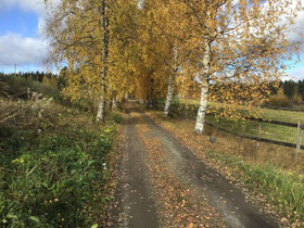 6H, Alangontie 22, Korpikoski, Mikkeli, Metsätilat ja maatilat, Mikkeli, Tori.fi 6H, Alangontie 22, Korpikoski, Mikkeli, Metsätilat ja maatilat, Mikkeli, Tori.fi