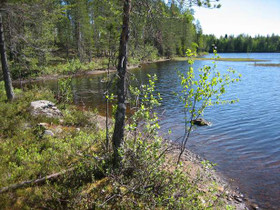 5000m², Merkkivirta Kortteli 4, tontti 1, Suomussa, Tontit, Suomussalmi, Tori.fi 5000m², Merkkivirta Kortteli 4, tontti 1, Suomussa, Tontit, Suomussalmi, Tori.fi