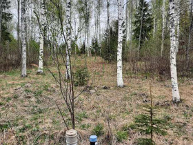 3590m², Sivutie 2, Mikkeli, Tontit, Mikkeli, Tori.fi 3590m², Sivutie 2, Mikkeli, Tontit, Mikkeli, Tori.fi