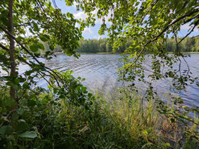 5000m², Lintusalontie 1070, Puumala, Tontit, Puumala, Tori.fi 5000m², Lintusalontie 1070, Puumala, Tontit, Puumala, Tori.fi