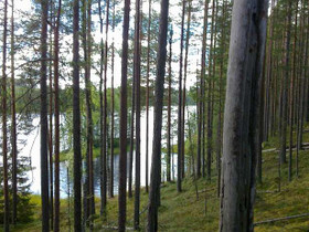4330m², Merkkivirta Kortteli 2, tontti 3, Suomussa, Tontit, Suomussalmi, Tori.fi 4330m², Merkkivirta Kortteli 2, tontti 3, Suomussa, Tontit, Suomussalmi, Tori.fi