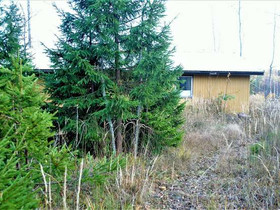 5005m², Leolantie 12, Sipoo, Tontit, Sipoo, Tori.fi 5005m², Leolantie 12, Sipoo, Tontit, Sipoo, Tori.fi