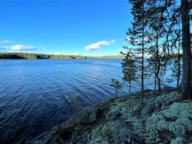 7.04 ha, Mutinlahdentie, Hirvensalmi, Tontit, Hirvensalmi, Tori.fi 7.04 ha, Mutinlahdentie, Hirvensalmi, Tontit, Hirvensalmi, Tori.fi