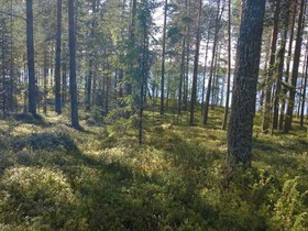 5340m², Iso-Rommakko, Lautakankaantie Kortteli 11,, Tontit, Kuhmo, Tori.fi 5340m², Iso-Rommakko, Lautakankaantie Kortteli 11,, Tontit, Kuhmo, Tori.fi