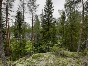 6800m², Huhtilampi Tontti 2, Pieksämäki, Tontit, Pieksämäki, Tori.fi