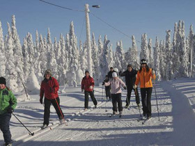 524m², Ukkohalla, Tervakuja Kortteli 67, tontti 1,, Tontit, Hyrynsalmi, Tori.fi 524m², Ukkohalla, Tervakuja Kortteli 67, tontti 1,, Tontit, Hyrynsalmi, Tori.fi
