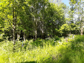 2590m², Kinnulanniemi Tontti 2, Suonenjoki, Tontit, Suonenjoki, Tori.fi 2590m², Kinnulanniemi Tontti 2, Suonenjoki, Tontit, Suonenjoki, Tori.fi