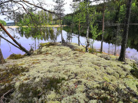 7000m², Ritosaarentie, Savonlinna, Tontit, Savonlinna, Tori.fi 7000m², Ritosaarentie, Savonlinna, Tontit, Savonlinna, Tori.fi