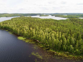 6890m², Saimaa, Laakko Kortteli 7, tontti 4, Puuma, Tontit, Puumala, Tori.fi 6890m², Saimaa, Laakko Kortteli 7, tontti 4, Puuma, Tontit, Puumala, Tori.fi