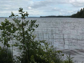 5000m², Rantakosulantie, Tuusniemi, Tontit, Tuusniemi, Tori.fi 5000m², Rantakosulantie, Tuusniemi, Tontit, Tuusniemi, Tori.fi