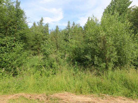 5437m², SOMMARÄNGSVÄGEN 10, Mustasaari, Tontit, Mustasaari, Tori.fi 5437m², SOMMARÄNGSVÄGEN 10, Mustasaari, Tontit, Mustasaari, Tori.fi