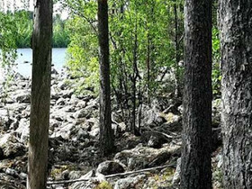 4.13 ha, Jauhonenäntie, Jämsä, Tontit, Jämsä, Tori.fi 4.13 ha, Jauhonenäntie, Jämsä, Tontit, Jämsä, Tori.fi