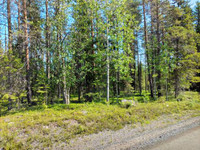 2.41 ha, Multasniementie 3, Kuusamo