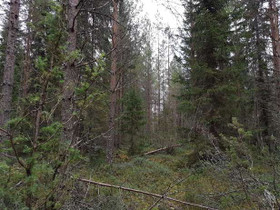 Mjöträsket, Kruunupyy, Metsätilat ja maatilat, Kruunupyy, Tori.fi Mjöträsket, Kruunupyy, Metsätilat ja maatilat, Kruunupyy, Tori.fi