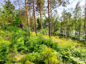 5500m², Lintusalontie 1070, Puumala, Tontit, Puumala, Tori.fi 5500m², Lintusalontie 1070, Puumala, Tontit, Puumala, Tori.fi