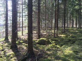 5470m², Lietjärvenkuja, Mäntyharju, Tontit, Mäntyharju, Tori.fi 5470m², Lietjärvenkuja, Mäntyharju, Tontit, Mäntyharju, Tori.fi