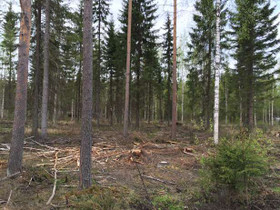 2.9 ha, Kalevankangas, Kalevankankaantie Kortteli, Tontit, Mikkeli, Tori.fi