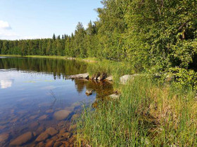 5000m², Niemeläntie, Savonlinna, Tontit, Savonlinna, Tori.fi 5000m², Niemeläntie, Savonlinna, Tontit, Savonlinna, Tori.fi