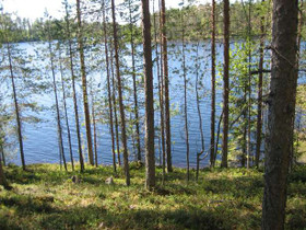 4820m², Merkkivirta Kortteli 4, tontti 2, Suomussa, Tontit, Suomussalmi, Tori.fi 4820m², Merkkivirta Kortteli 4, tontti 2, Suomussa, Tontit, Suomussalmi, Tori.fi