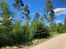 2800m², Mäntytie, Hollola, Tontit, Hollola, Tori.fi 2800m², Mäntytie, Hollola, Tontit, Hollola, Tori.fi