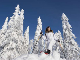 581m², Ukkohalla, Vihtakuja Kortteli 68, tontti 2,, Tontit, Hyrynsalmi, Tori.fi 581m², Ukkohalla, Vihtakuja Kortteli 68, tontti 2,, Tontit, Hyrynsalmi, Tori.fi