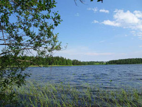 6620m², Rautasaarentie -, Kangasniemi, Tontit, Kangasniemi, Tori.fi 6620m², Rautasaarentie -, Kangasniemi, Tontit, Kangasniemi, Tori.fi