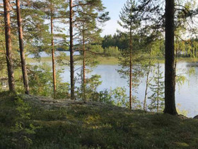 10000m², Kotirannantie, Kitee, Tontit, Kitee, Tori.fi 10000m², Kotirannantie, Kitee, Tontit, Kitee, Tori.fi