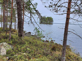 4849m², Laakajärvi, Haahkantie 44 Kortteli 2, tont, Tontit, Sotkamo, Tori.fi