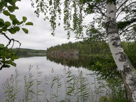 1.01 ha, Kattilamäentie 384, Savonlinna, Tontit, Savonlinna, Tori.fi 1.01 ha, Kattilamäentie 384, Savonlinna, Tontit, Savonlinna, Tori.fi