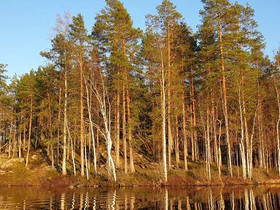 1.11 ha, Saunalahdenpolku 129 A ja B, Mikkeli, Tontit, Mikkeli, Tori.fi 1.11 ha, Saunalahdenpolku 129 A ja B, Mikkeli, Tontit, Mikkeli, Tori.fi