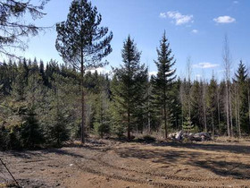 1770m², Riuttatie 5, Riuttarinne, Joutsa, Tontit, Joutsa, Tori.fi 1770m², Riuttatie 5, Riuttarinne, Joutsa, Tontit, Joutsa, Tori.fi