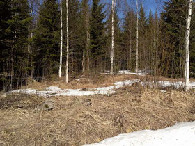 5000m², Kaatrontie 120, Siilinjärvi, Tontit, Siilinjärvi, Tori.fi 5000m², Kaatrontie 120, Siilinjärvi, Tontit, Siilinjärvi, Tori.fi