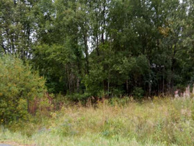1139m², Kirsikkakuja 4, Lahti, Tontit, Lahti, Tori.fi 1139m², Kirsikkakuja 4, Lahti, Tontit, Lahti, Tori.fi