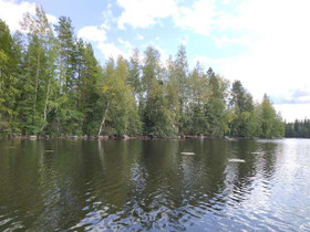 3.8 ha, Viitasaari, Joutsa, Tontit, Joutsa, Tori.fi 3.8 ha, Viitasaari, Joutsa, Tontit, Joutsa, Tori.fi
