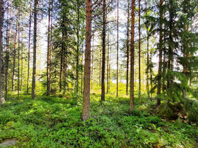 Kevatoksentie 450, Sopala, Puumala, Mökit ja loma-asunnot, Puumala, Tori.fi Kevatoksentie 450, Sopala, Puumala, Mökit ja loma-asunnot, Puumala, Tori.fi