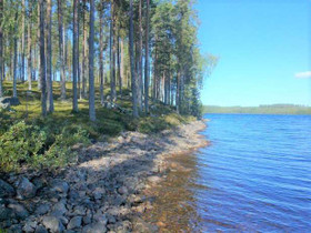 5600m², Kiantajärvi, Haukiperä 2 Kortteli 14, tont, Tontit, Suomussalmi, Tori.fi 5600m², Kiantajärvi, Haukiperä 2 Kortteli 14, tont, Tontit, Suomussalmi, Tori.fi