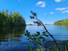 6000m², Mainiementie 1021 kenkunsaari, Hirvensalmi, Tontit, Hirvensalmi, Tori.fi 6000m², Mainiementie 1021 kenkunsaari, Hirvensalmi, Tontit, Hirvensalmi, Tori.fi