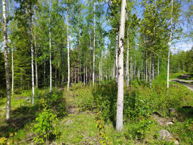7840m², Livantie 29, Jyväskylä, Tontit, Jyväskylä, Tori.fi 7840m², Livantie 29, Jyväskylä, Tontit, Jyväskylä, Tori.fi