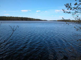 5400m², Kiesimenjärvi, Pylkönmäki Tontti 30, Saari, Tontit, Saarijärvi, Tori.fi