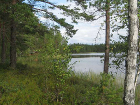 4300m², Lehmopolku, Mäntyharju, Tontit, Mäntyharju, Tori.fi 4300m², Lehmopolku, Mäntyharju, Tontit, Mäntyharju, Tori.fi