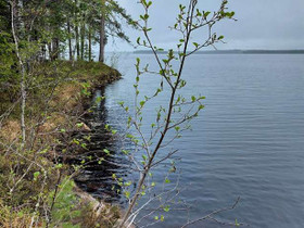 3793m², Laakajärvi, Metsäkukantie 3 Kortteli 3, to, Tontit, Sotkamo, Tori.fi 3793m², Laakajärvi, Metsäkukantie 3 Kortteli 3, to, Tontit, Sotkamo, Tori.fi