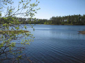 5000m², Merkkivirta Kortteli 4, tontti 3, Suomussa, Tontit, Suomussalmi, Tori.fi 5000m², Merkkivirta Kortteli 4, tontti 3, Suomussa, Tontit, Suomussalmi, Tori.fi
