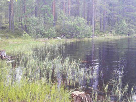 6145m², Jämäs, Kurikkaniementie Kortteli 2, tontti, Tontit, Kuhmo, Tori.fi 6145m², Jämäs, Kurikkaniementie Kortteli 2, tontti, Tontit, Kuhmo, Tori.fi
